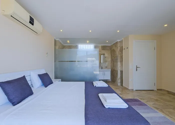 Lumiere 1 فيلة كاس