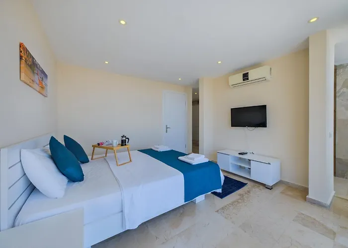 Lumiere 1 فيلة *